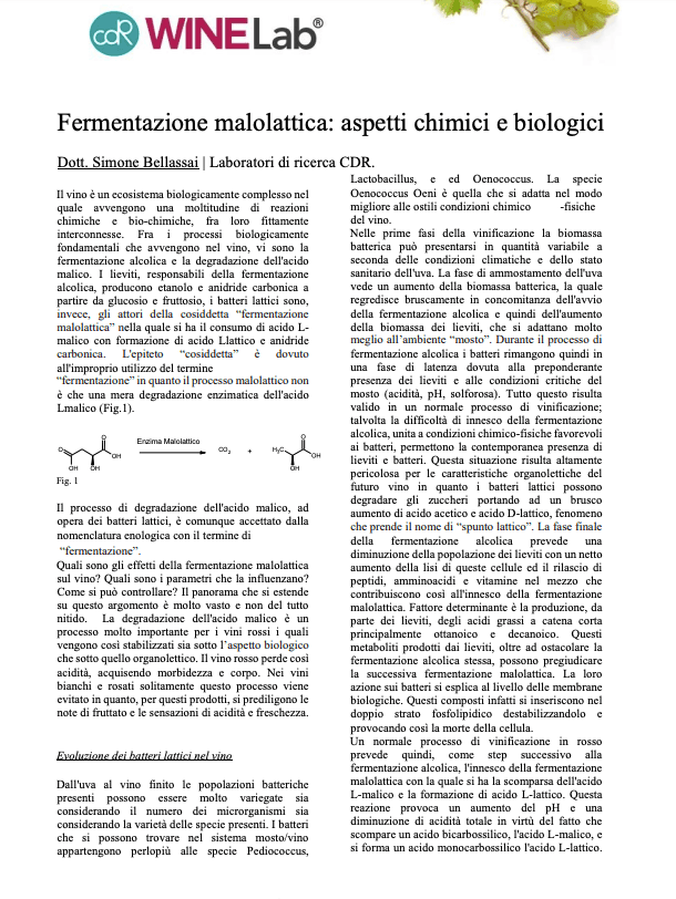 ArticleData image