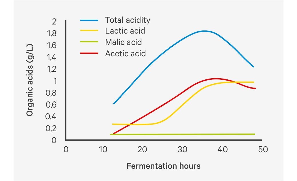 Evolution of organic acids during fermentation