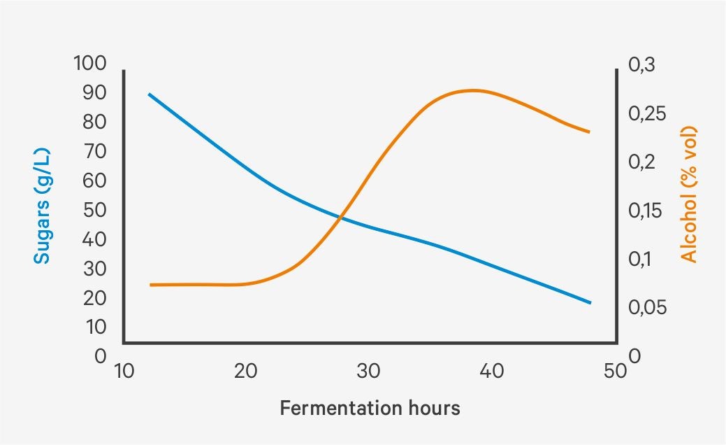 Evolution of fermentable sugars during fermentation
